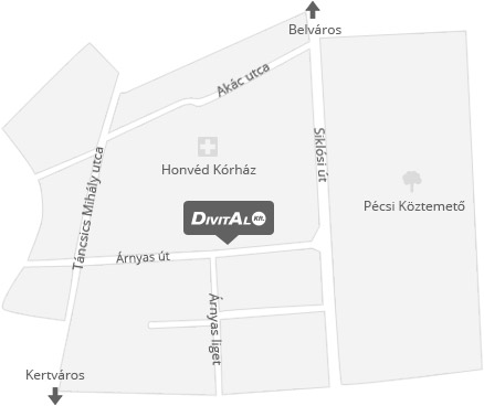 Térkép